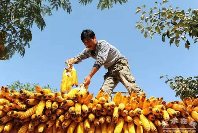 通辽丰盛农产品物流园冻货,通辽丰盛农产品物流园正常营业吗