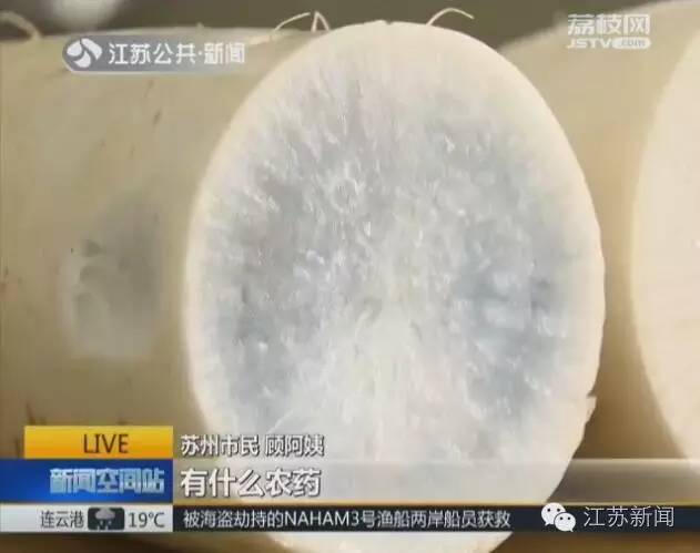 白萝卜切开是蓝心,白萝卜切开蓝心能吃吗