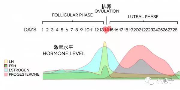 妈妈们曾经羞于谈起的事情，如今我想和你讨论讨论