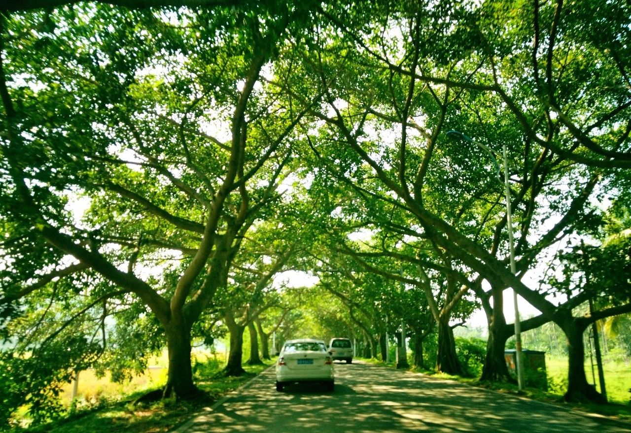 三亚瑞吉酒店攻略,三亚瑞吉酒店夜间风景