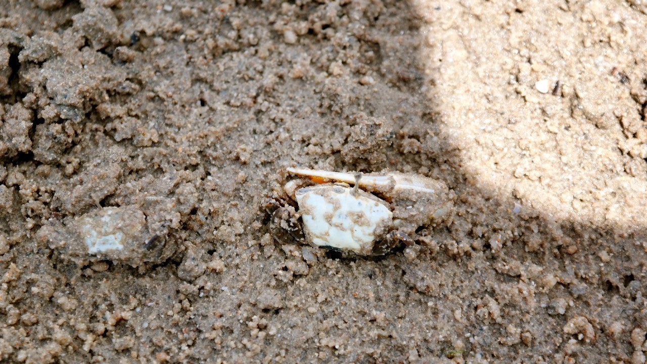 三亚瑞吉酒店攻略,三亚瑞吉酒店夜间风景