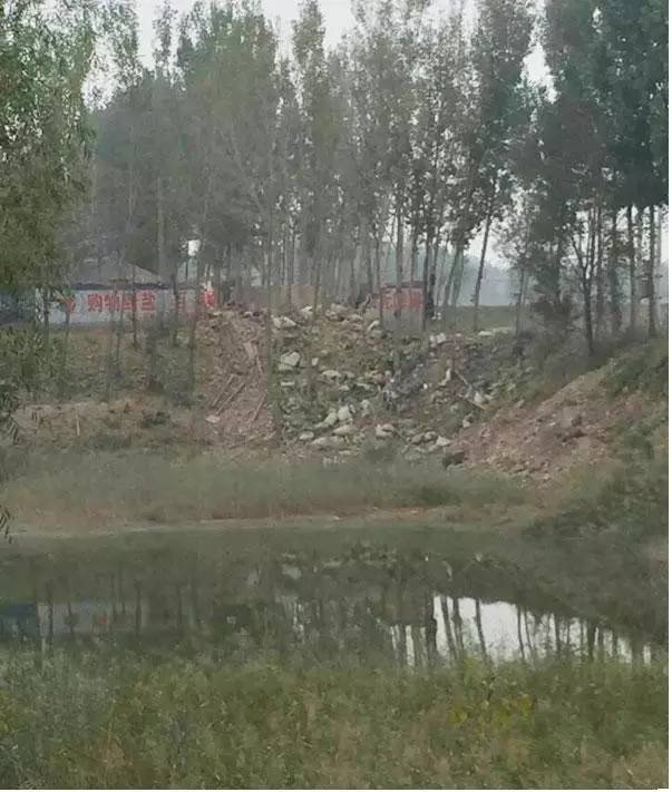 澶╂2022鎬荤粨,澶╂鎾姤