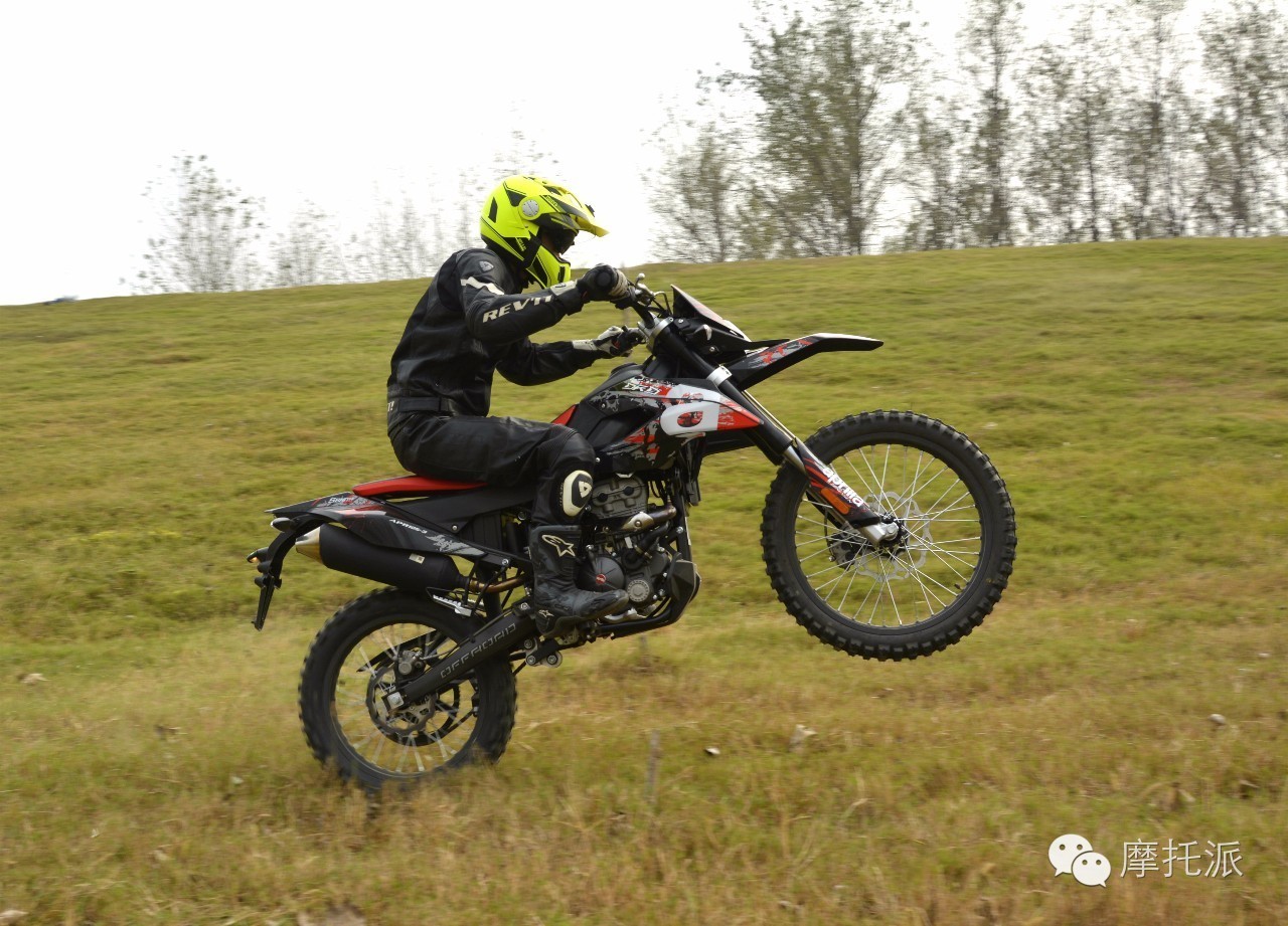 欢乐颂#阿普利亚DRD测评报告（上）