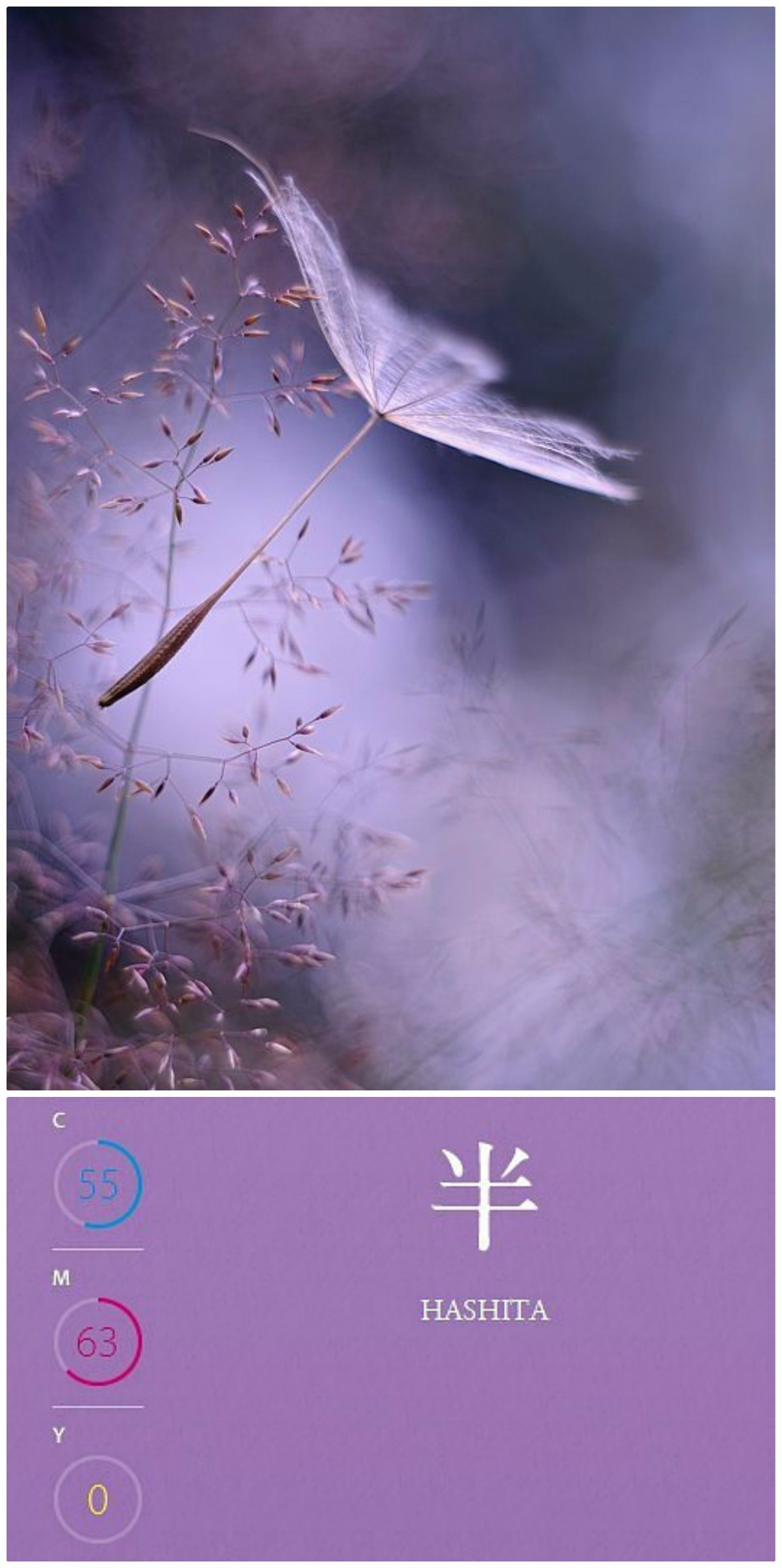 小野小町｜最平安的世代最美的女人