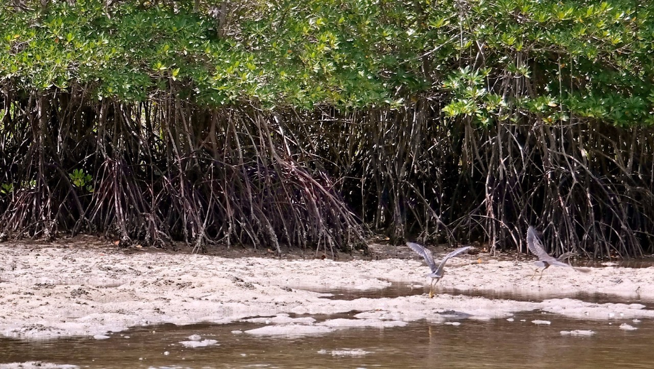 三亚瑞吉酒店攻略,三亚瑞吉酒店夜间风景
