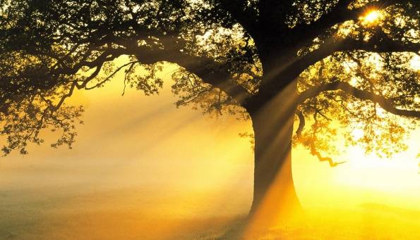 要不要给孩子培养各种兴趣班,要不要培养孩子艺术