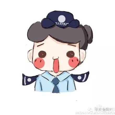 金凤警方破获盗窃案,金凤网络传销案