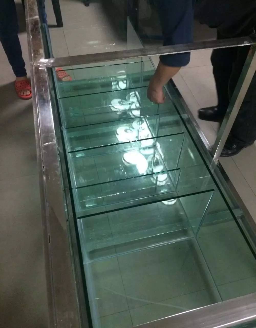 如何有一个好的鱼缸,给自己一个完美的空间