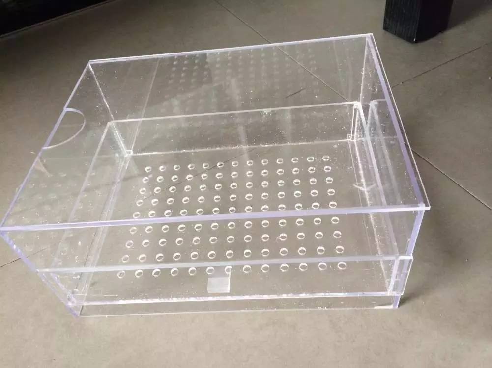 如何有一个好的鱼缸,给自己一个完美的空间