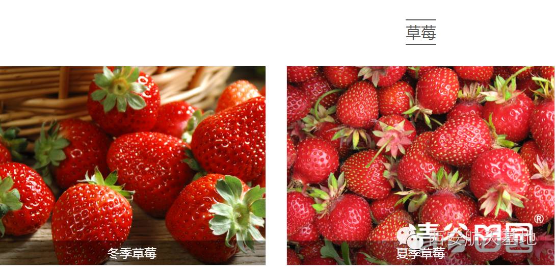 牛气！年出口创汇2亿美元，海升果香弥漫全球