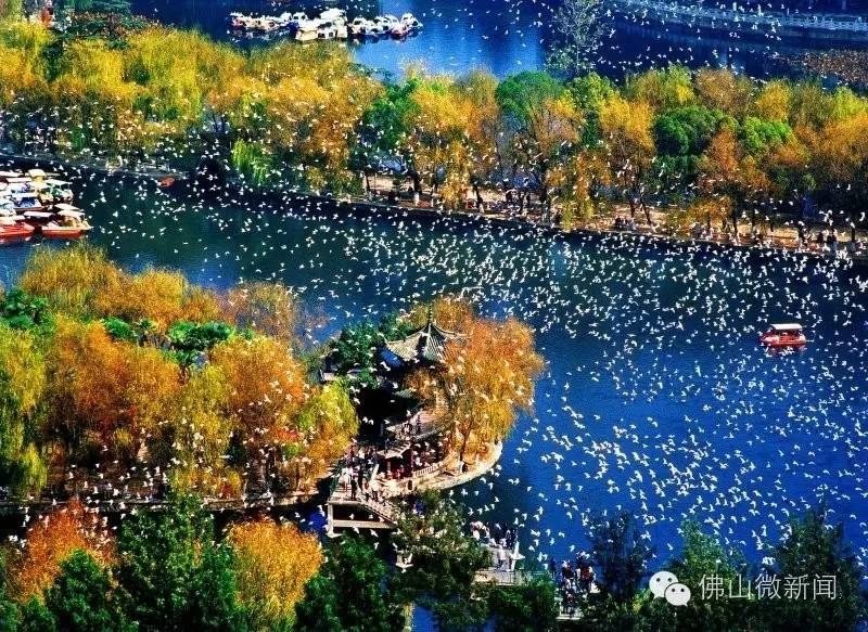 说走就走机场,说走就走粤港澳