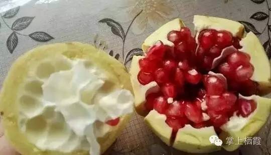 手把手教你剥石榴,教你剥石榴的小技巧