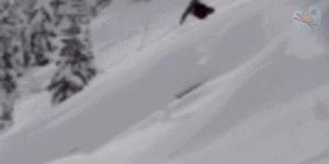 羊驼带你看懂双板Slopestyle（下）