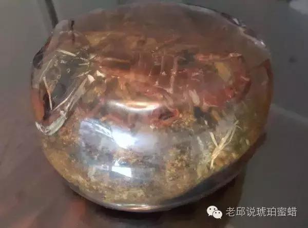 鎭掑疄鑰侀偙,鎭掑疄鐞ョ弨鑰侀偙鐩存挱