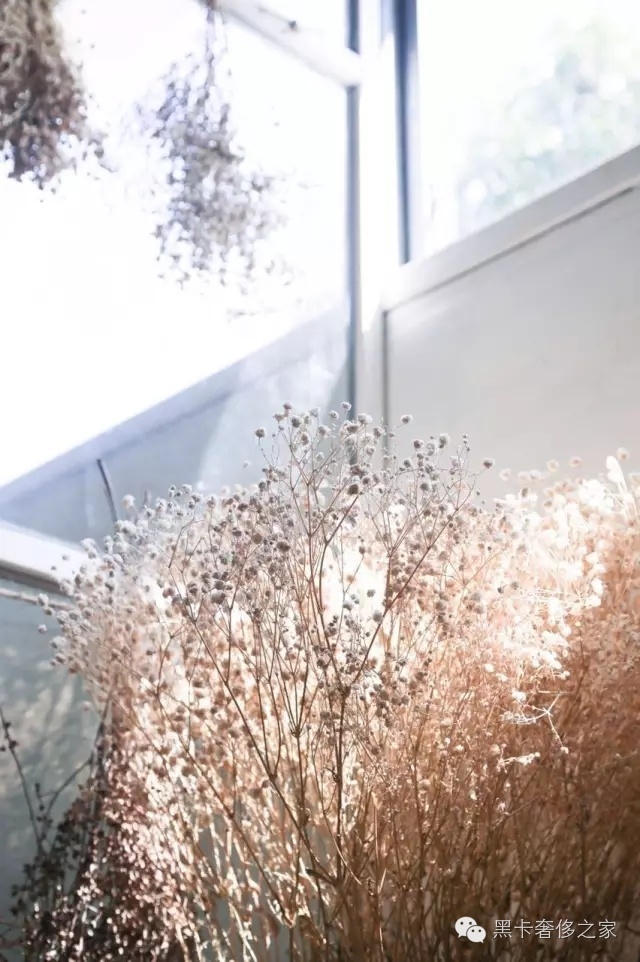 不要爱马仕不要LV,90后情侣花6万块造了个300㎡的大房子