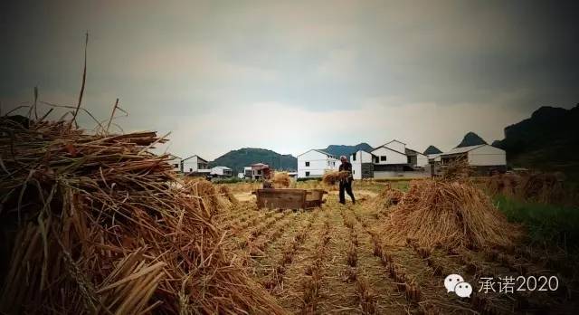 野人谷申报5a级景区,5a景区被降级的景点