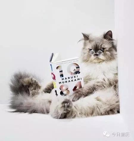 重庆周末耍事推荐,重庆主城耍事推荐