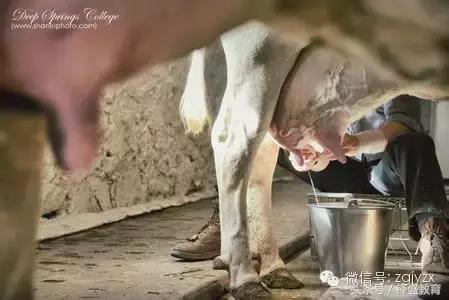 比哈佛还难进的大学——深泉学院（家长们都来学习一下吧）