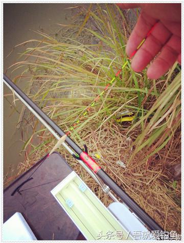 大将师来干家塘有鲤有鲫好鱼情