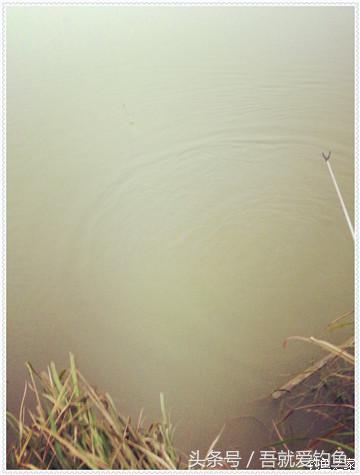大将师来干家塘有鲤有鲫好鱼情
