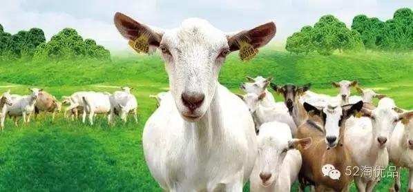 山羊奶美白抗皱系列,山羊奶秋冬滋润保湿补水