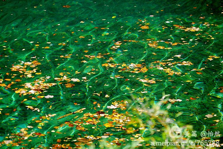 九寨沟让人失语的美丽童话世界,九寨沟有没有童话世界的景点