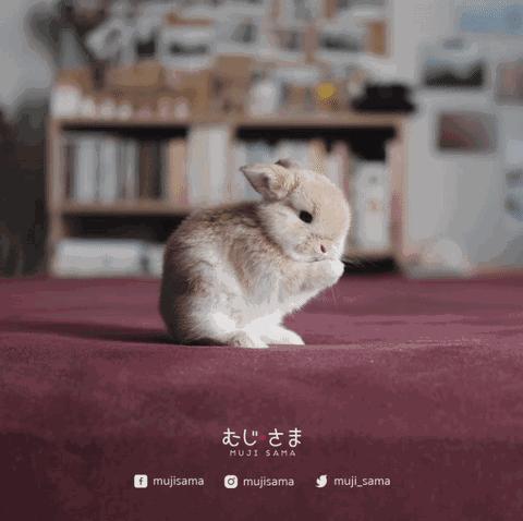 muji床品条纹面料,MUJI床品