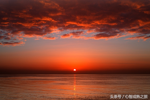 小二，来一碗毒鸡汤（你敢喝吗？）