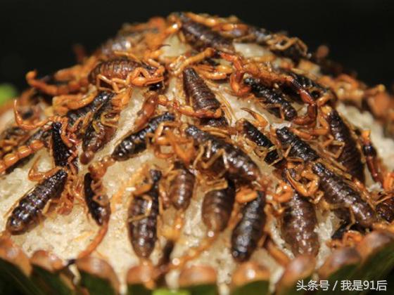 越南恶心的虫子大餐,广东人常吃的虫子