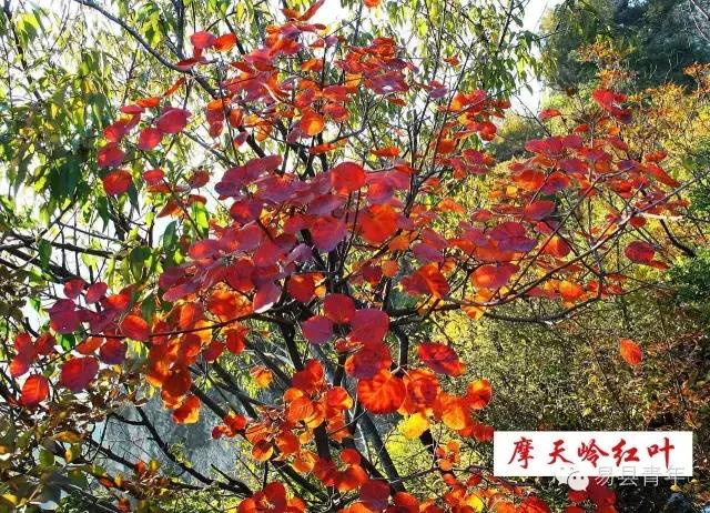 易县蔡家峪风景区有瀑布吗,易县蔡家峪景区人多吗