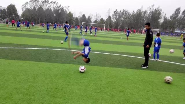 天下第一武馆武校,天下第一武校在哪