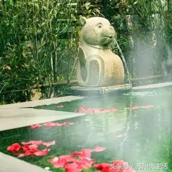 苏州周边最适合2人去的“约泡”地点……