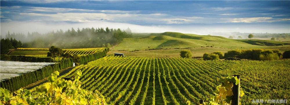 沉浸式感受中土世界,重回中土世界