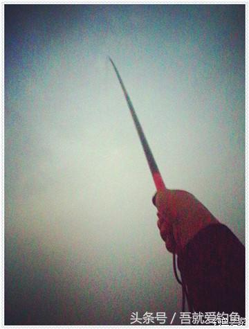 大将师来干家塘有鲤有鲫好鱼情