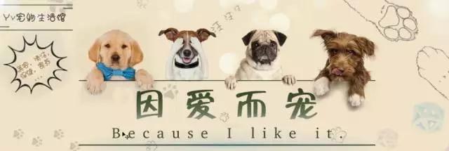 logo淇敼浣滀笟,banner鎺掔増璁捐鍟嗕笟