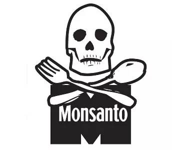 转基因食品该不该吃,转基因食物吃还是不吃