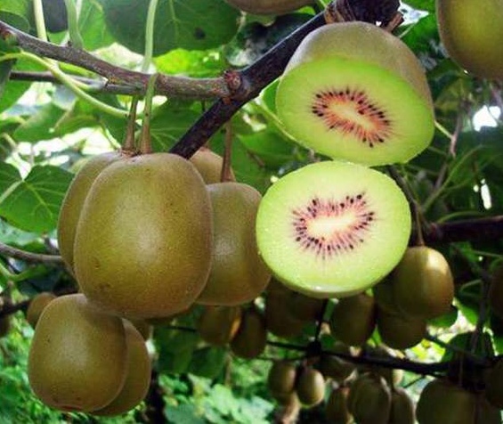 眼部护眼最好的方法,护眼最强眼部保养产品