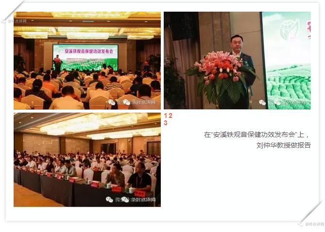 陈香型铁观音的功效口感,安溪陈年铁观音的功效与作用