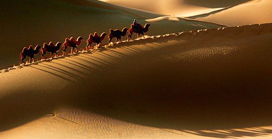 张掖震动世界的丹霞,张掖历史时尚地标