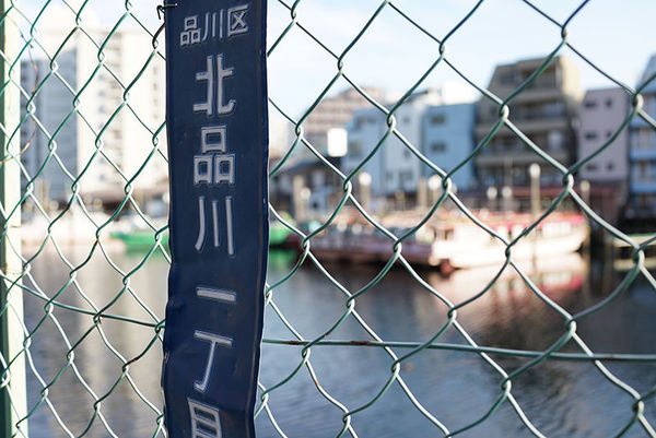 索尼rx1r2可以拍什么,rx1画质