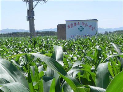 农业项目10个投资9个亏,农业种植投资项目有哪些