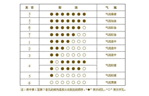 最好学习的小乐器,中老年学习什么乐器比较好学