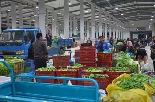 谁做的这本上海生活指南？老结棍了！走遍上海不用愁！