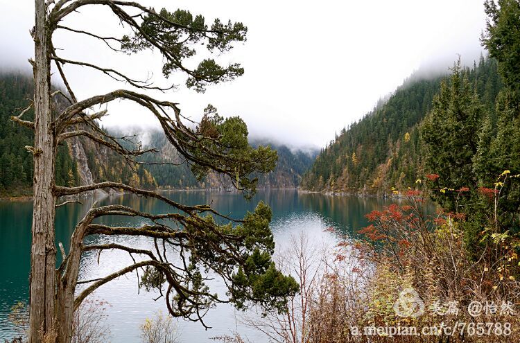 九寨沟让人失语的美丽童话世界,九寨沟有没有童话世界的景点