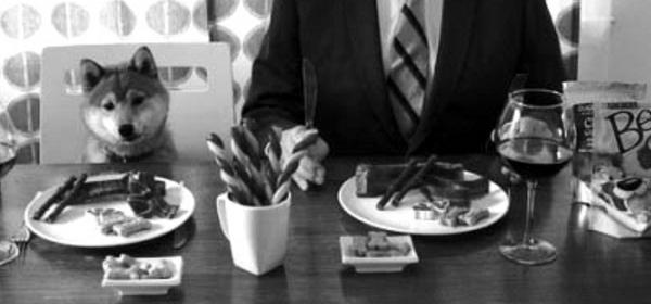 最好的10款狗粮,十大顶级狗粮图片