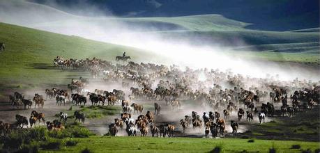 张掖震动世界的丹霞,张掖历史时尚地标