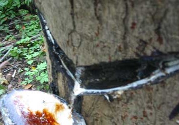 为什么日本人用铝制品,日本大漆餐具对人体有危害吗