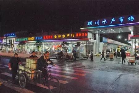 谁做的这本上海生活指南？老结棍了！走遍上海不用愁！