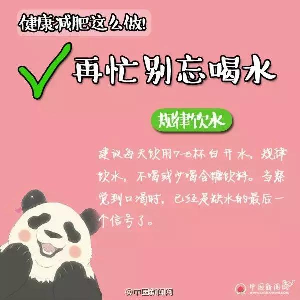 减肥药对肝脏有什么伤害,对肝脏无害的减肥产品