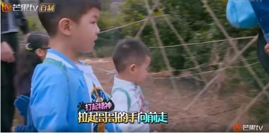 这几年努力奋斗的成果,这几年奋斗的成果